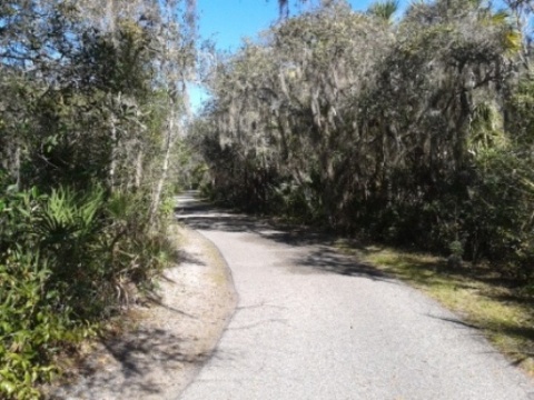 paddling Alafia River, kayak, canoe