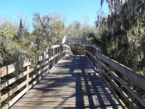 paddling Alafia River, kayak, canoe