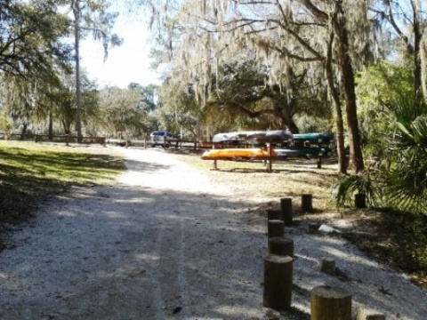 paddling Alafia River, kayak, canoe