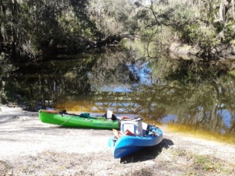 paddling Alafia River, kayak, canoe