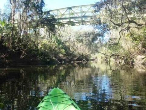 paddling Alafia River, kayak, canoe