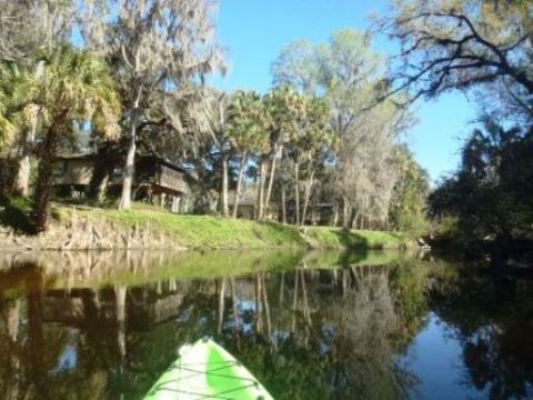 paddling Alafia River, kayak, canoe