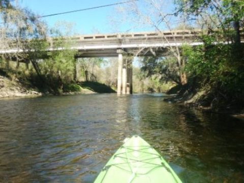 paddling Alafia River, kayak, canoe