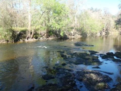 paddling Alafia River, kayak, canoe