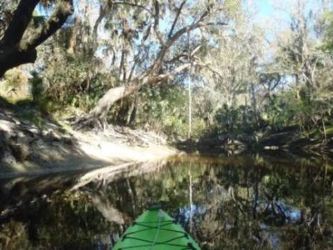 paddling Alafia River, kayak, canoe