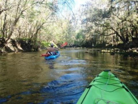 paddling Alafia River, kayak, canoe