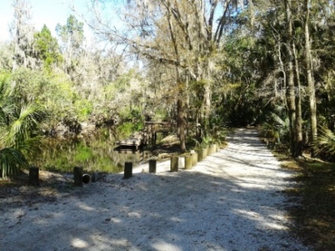 paddling Alafia River, kayak, canoe