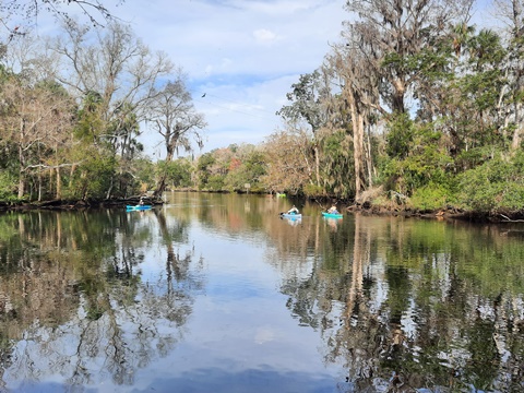 Hillsborough River, West-Central FL