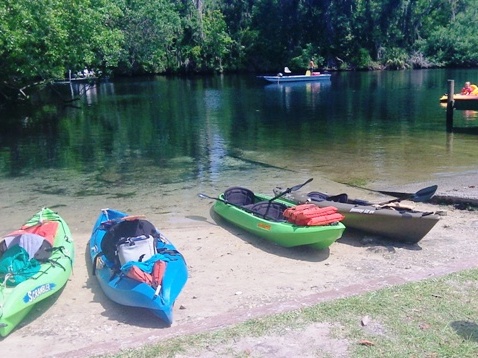 paddling chassahowitzka River, kayak, canoe