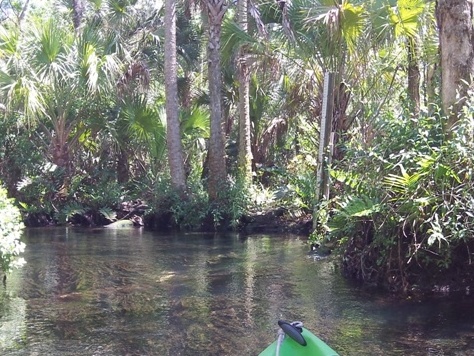 paddling chassahowitzka River, Ruth Spring, kayak, canoe