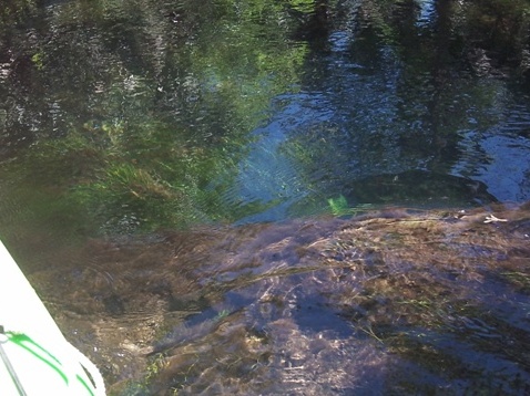 paddling chassahowitzka River, Ruth Spring, kayak, canoe