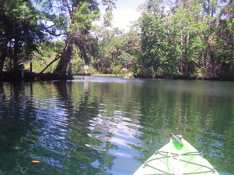 paddling chassahowitzka River, kayak, canoe