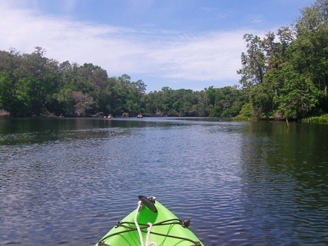 paddling chassahowitzka River, kayak, canoe