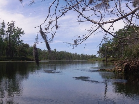 paddling chassahowitzka River, kayak, canoe