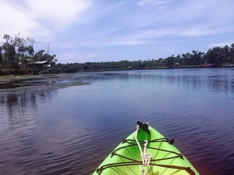 paddling chassahowitzka River, kayak, canoe