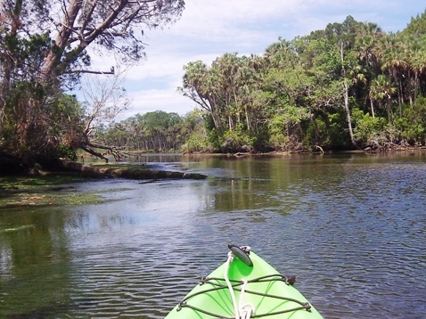 paddling chassahowitzka River, Chassahowitzka Springkayak, canoe