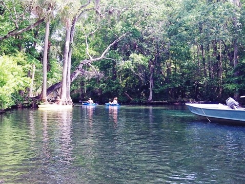 paddling chassahowitzka River, Chassahowitzka Spring, kayak, canoe