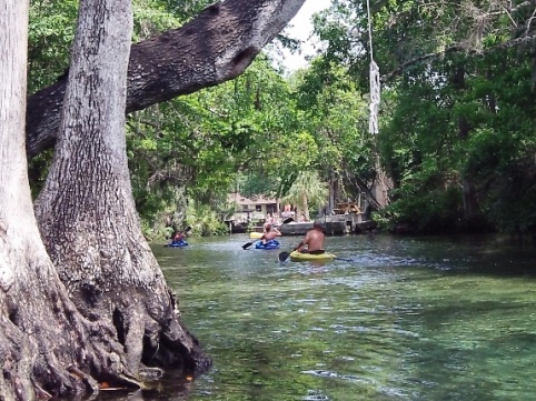 paddling chassahowitzka River, Chassahowitzka Spring, kayak, canoe