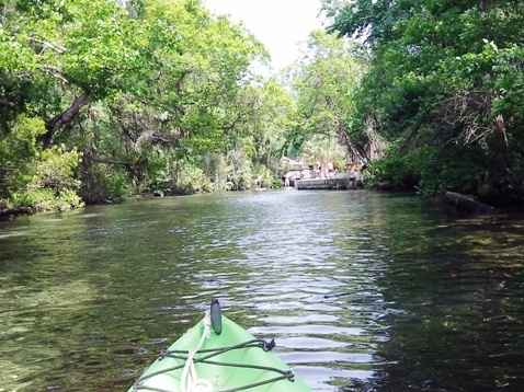 paddling chassahowitzka River, Chassahowitzka Spring, kayak, canoe