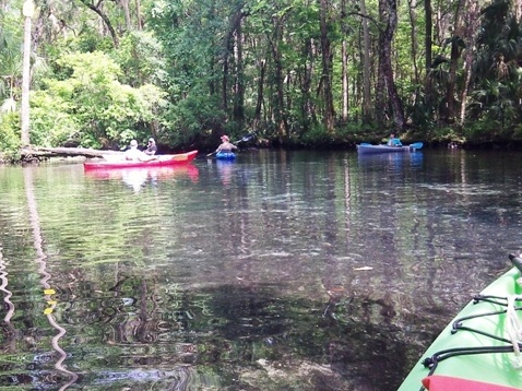 paddling chassahowitzka River, No-Name Spring, kayak, canoe