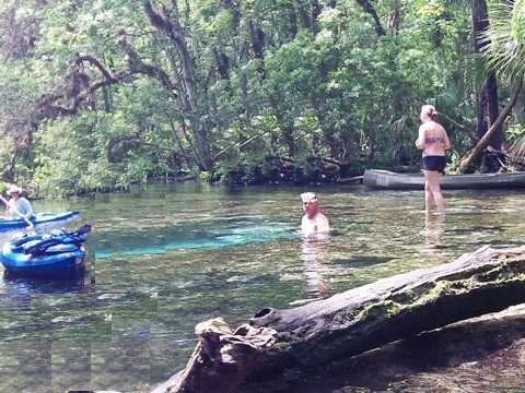 paddling chassahowitzka River, No-Name Spring, kayak, canoe