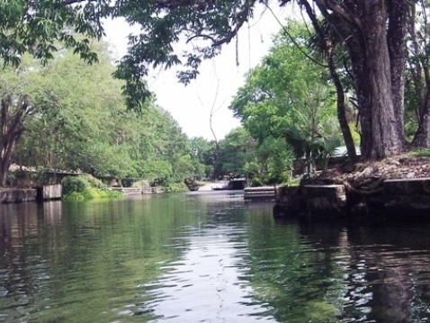 paddling chassahowitzka River, canals, kayak, canoe