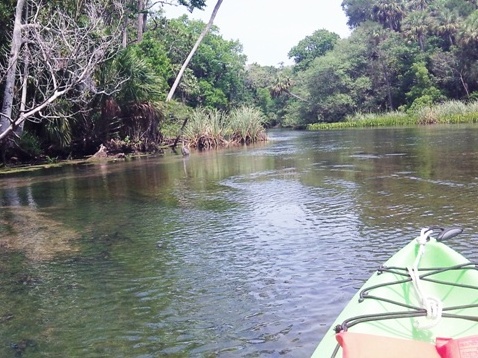 paddling chassahowitzka River, crab creek, kayak, canoe