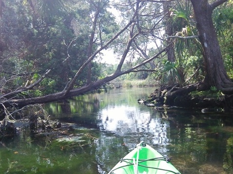 paddling chassahowitzka River, Baird Creek, canals, kayak, canoe