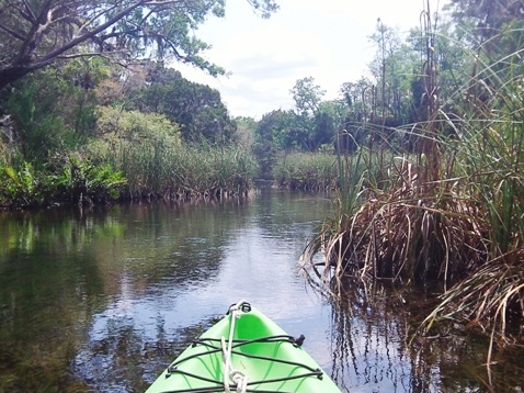 paddling chassahowitzka River, Baird Creek, canals, kayak, canoe