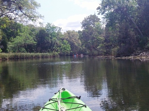 paddling chassahowitzka River, Baird Creek, canals, kayak, canoe