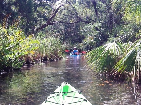 paddling chassahowitzka River, The Crack, kayak, canoe