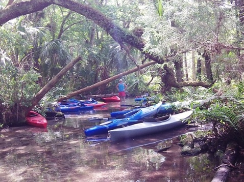 paddling chassahowitzka River, The Crack, kayak, canoe