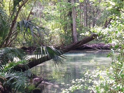 paddling chassahowitzka River, The Crack, kayak, canoe