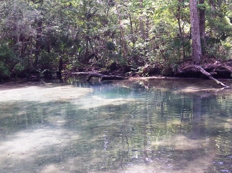 paddling chassahowitzka River, The Crack, kayak, canoe