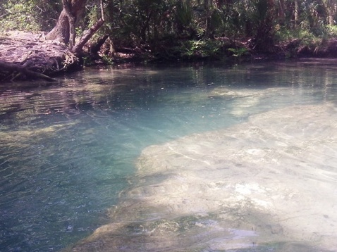 paddling chassahowitzka River, The Crack, kayak, canoe