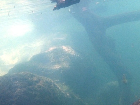 paddling chassahowitzka River, The Crack, kayak, canoe