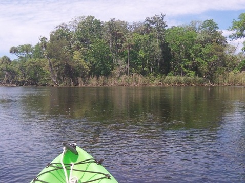 paddling chassahowitzka River, Salt Spring, kayak, canoe