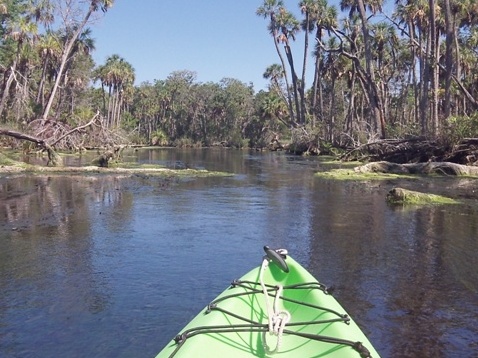 paddling chassahowitzka River, Salt Spring, kayak, canoe