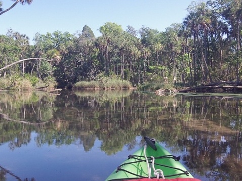 paddling chassahowitzka River, Salt Spring, kayak, canoe