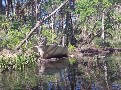 paddling chassahowitzka River, Salt Spring, kayak, canoe