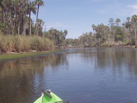 paddling chassahowitzka River, Potter Creek, kayak, canoe