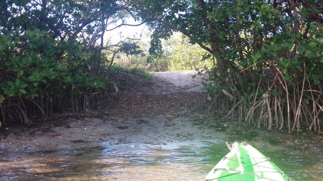 paddling Cockroach Bay, kayak, canoe