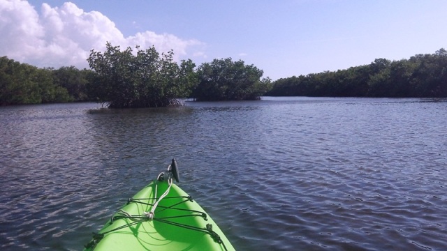 paddling Cockroach Bay, kayak, canoe