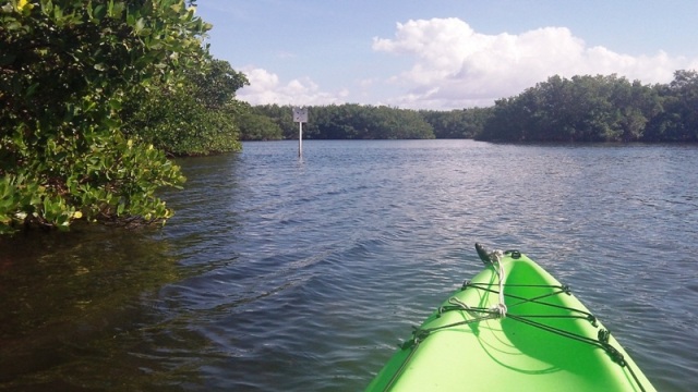 paddling Cockroach Bay, kayak, canoe