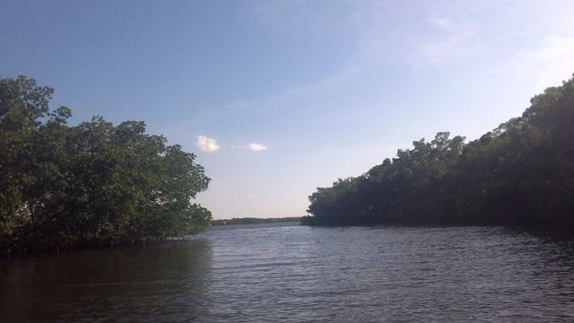 paddling Cockroach Bay, kayak, canoe