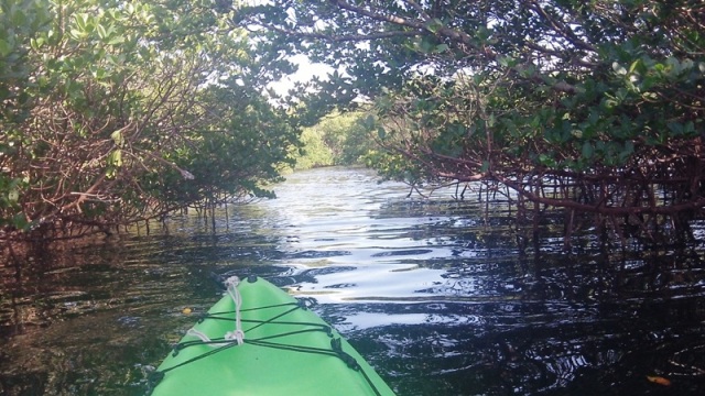 paddling Cockroach Bay, kayak, canoe