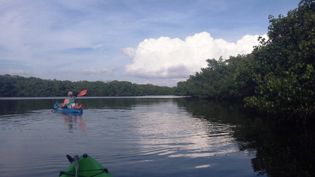 paddling Cockroach Bay, kayak, canoe