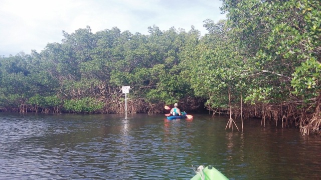 paddling Cockroach Bay, kayak, canoe