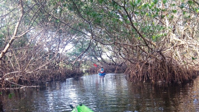 paddling Cockroach Bay, kayak, canoe