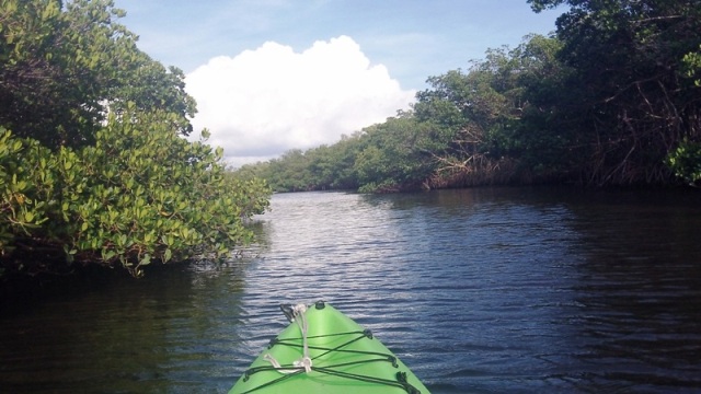 paddling Cockroach Bay, kayak, canoe